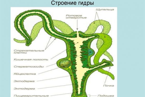 Кракен действующая ссылка